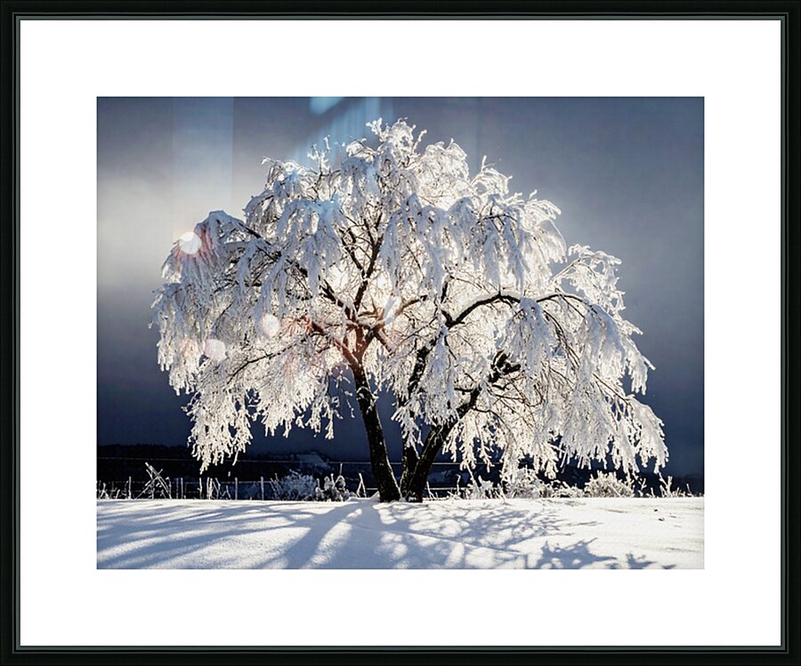 Something Magical Picture Frame print