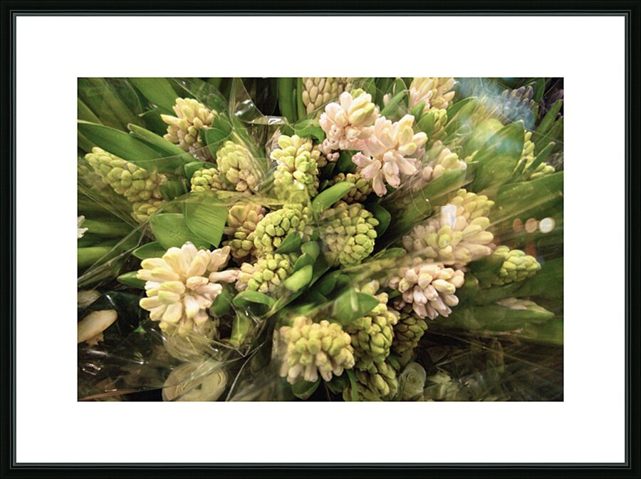 Hyacinths for the Kitchen Table Picture Frame print
