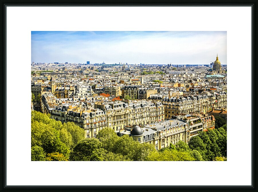 View from the Eiffel Tower Picture Frame print