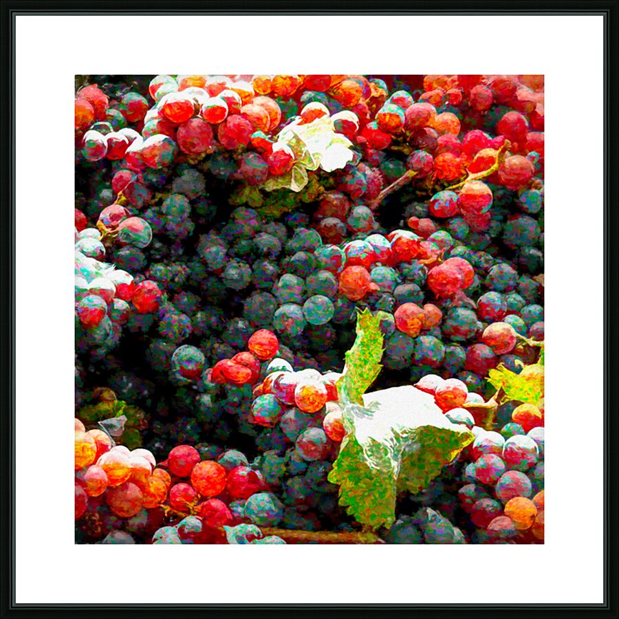 Grapes Just Picked Picture Frame print