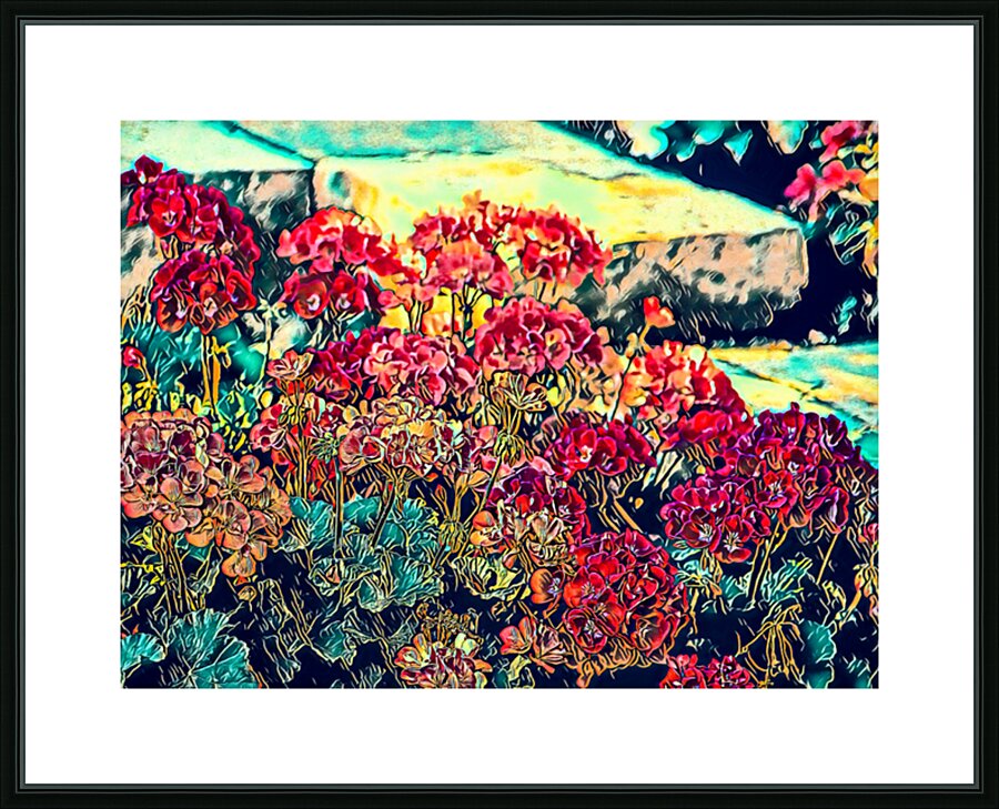 Geraniums Along the Front Steps Picture Frame print