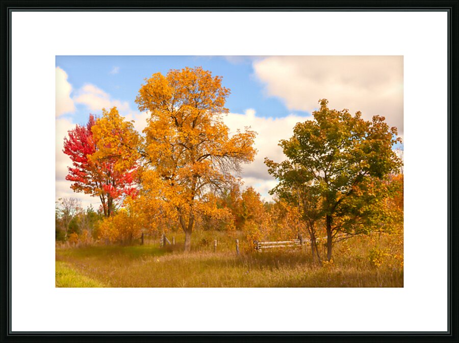 Much More Than Just Trees Picture Frame print
