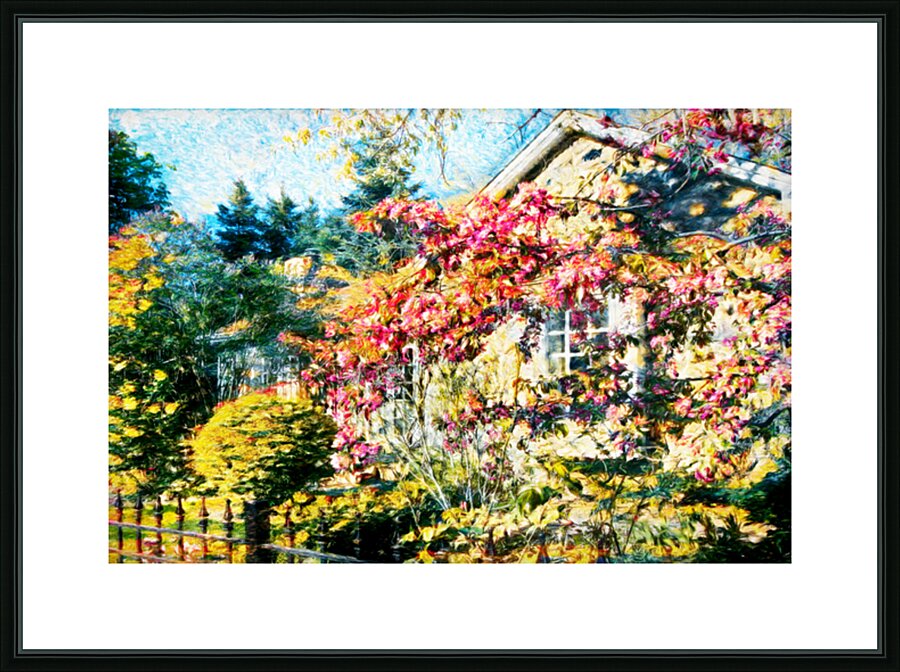 Cabbagetown House and Garden Picture Frame print