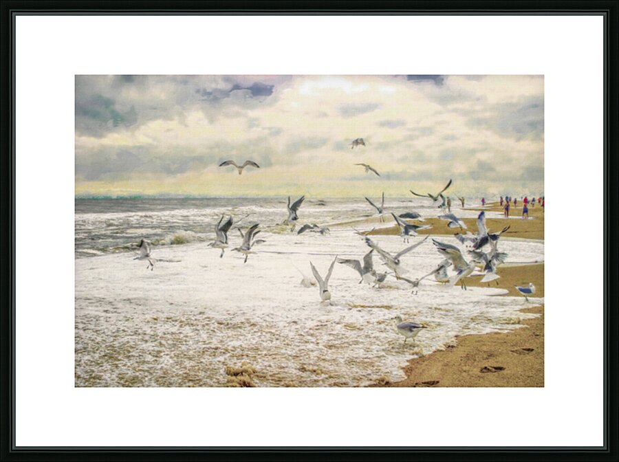 Screeching Seagulls Picture Frame print