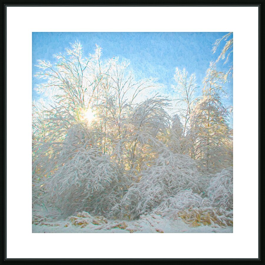 After the Ice Storm Picture Frame print