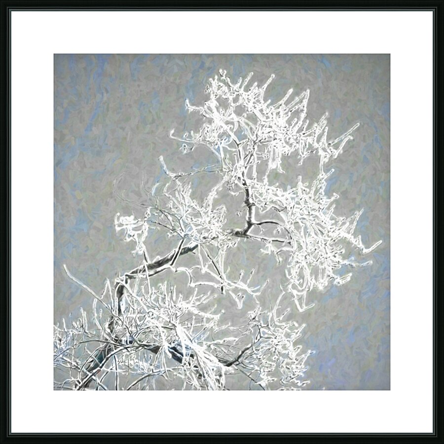 Ice-Covered Branch Picture Frame print
