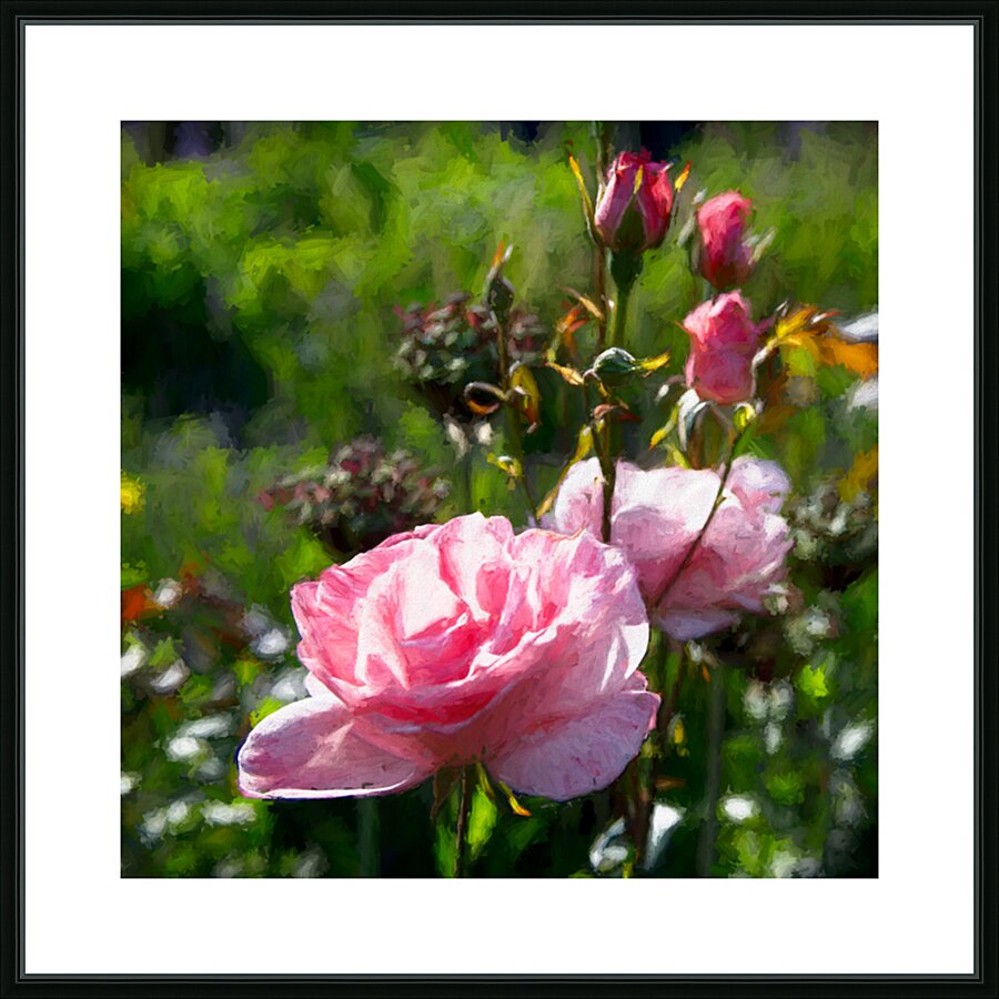 Pink Rosebuds Picture Frame print