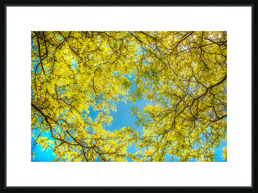 Love that Spring Green  Picture Frame print