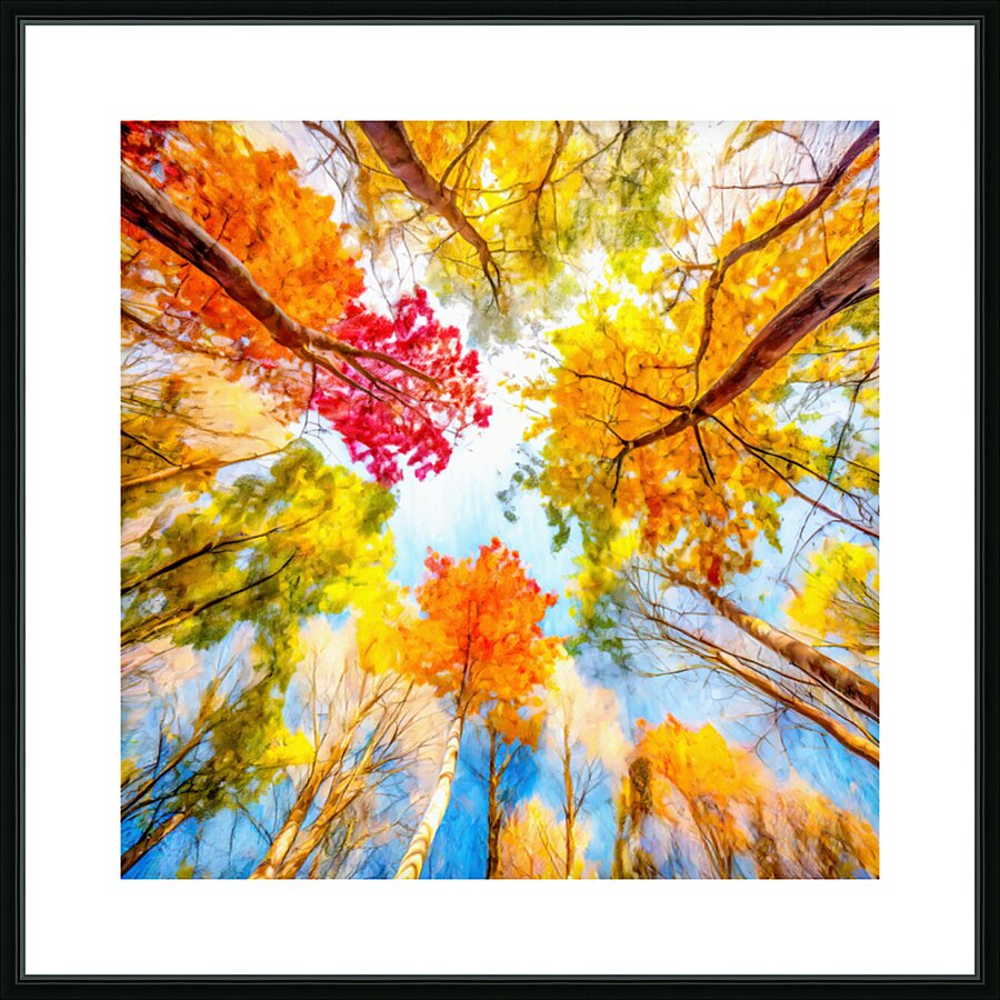 Lie Down and Look Up Picture Frame print