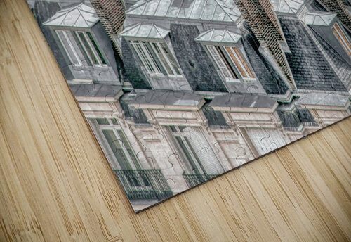 Rooftops in Paris Thea Menagh puzzle