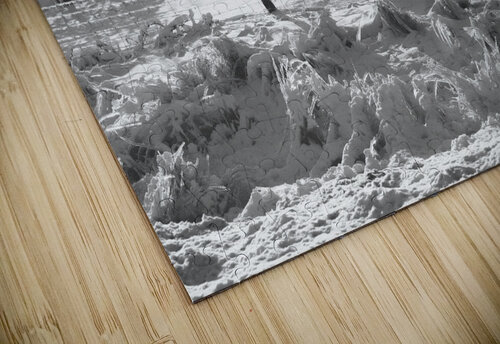 Ice-Covered Apple Trees Thea Menagh puzzle