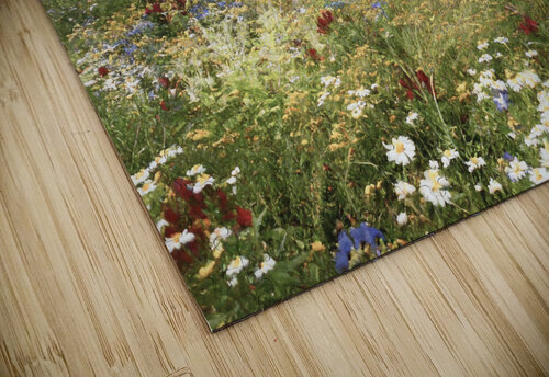 Loved Those Wheels Thea Menagh puzzle