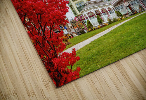 Blue Mountain Resort Shopping Thea Menagh puzzle