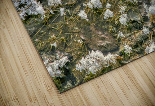 Ice Crystals Thea Menagh puzzle