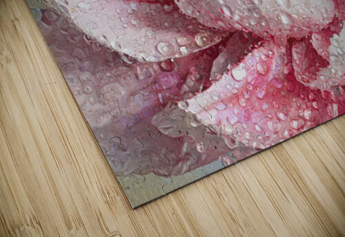 Clinging Raindrops Thea Menagh puzzle