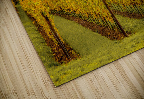 Niagara Vineyard Route Thea Menagh puzzle