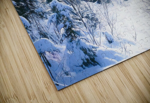 Winter Hiking Trail Thea Menagh puzzle