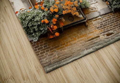 Parisian Windows Thea Menagh puzzle