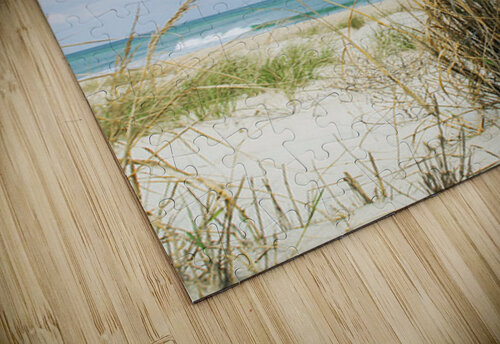 BEACH GRASS  Thea Menagh puzzle