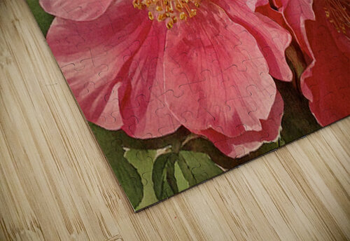 Alberta Wild Roses Thea Menagh puzzle