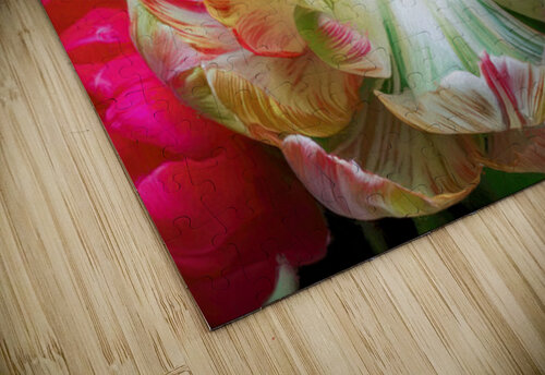 A Fully Open Parrot Tulip Thea Menagh puzzle