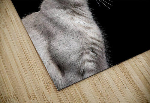 Kissy Kissy Thea Menagh puzzle