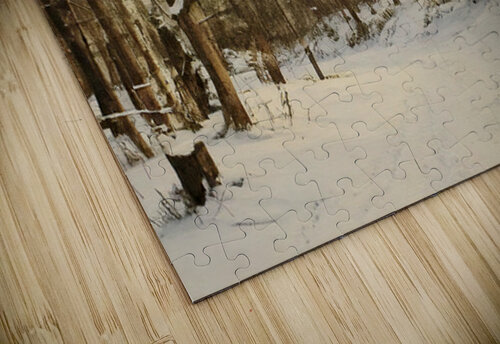 Beautiful Winter Light Thea Menagh puzzle