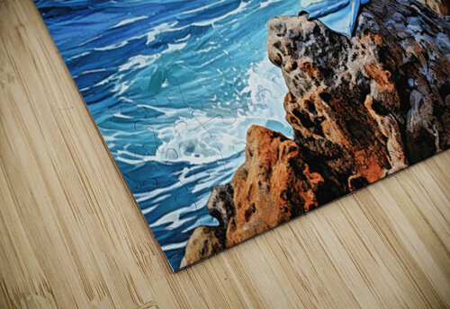 Blue Footed Boobies Thea Menagh puzzle