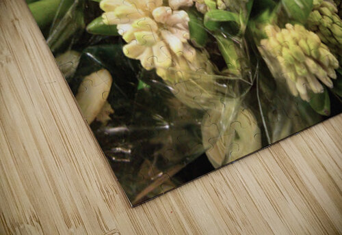 Hyacinths for the Kitchen Table Thea Menagh puzzle