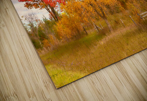 Much More Than Just Trees Thea Menagh puzzle