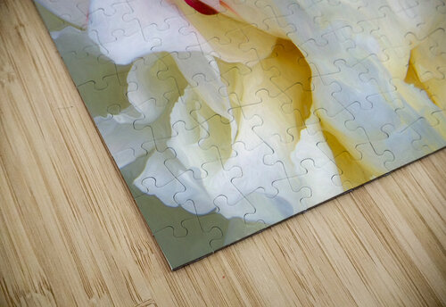 Peony Really Close Up Thea Menagh puzzle