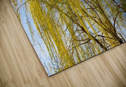 Huge Weeping Willow Thea Menagh puzzle