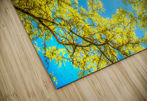 Love that Spring Green  Thea Menagh puzzle