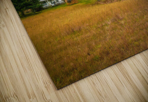 Somewhere in Canada Thea Menagh puzzle