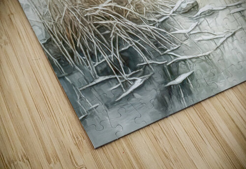 Winterland in the Ponds and Marshes Thea Menagh puzzle