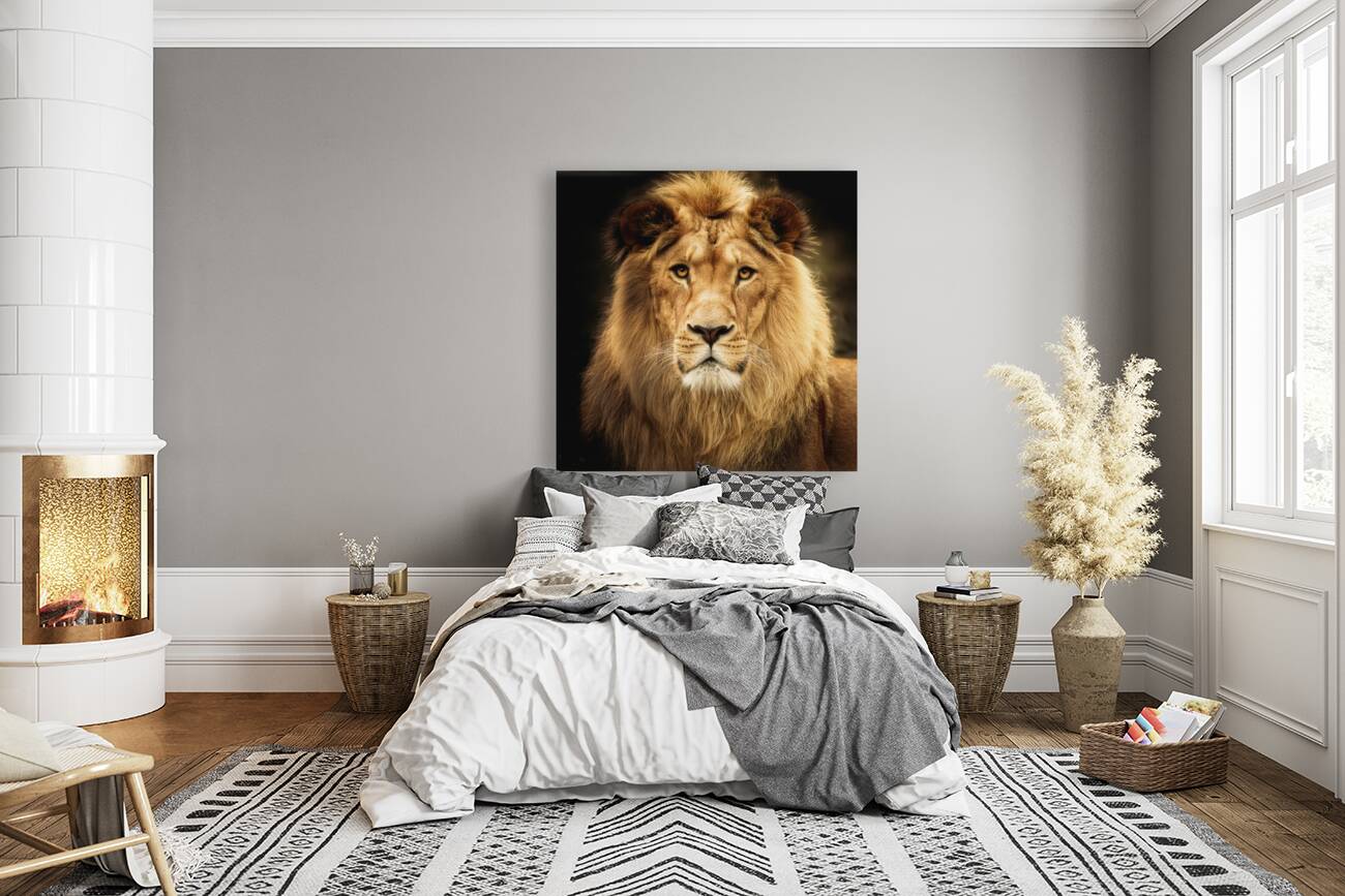 Lion King Reproduction