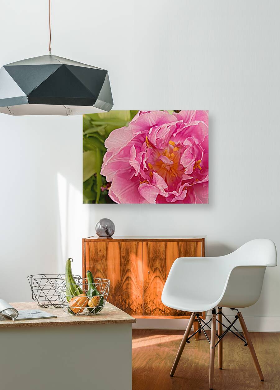Pink Double Tulip Reproduction