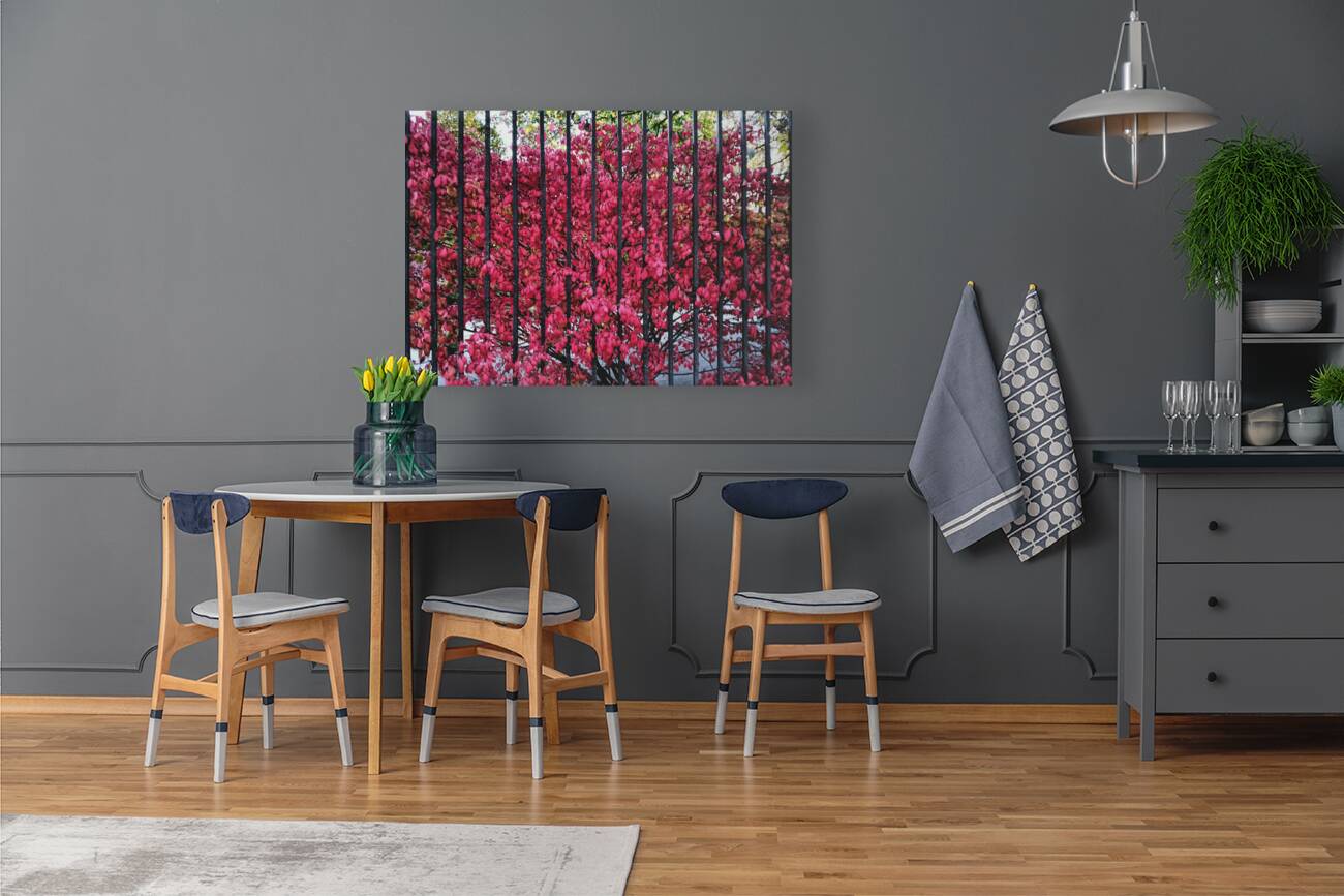 Burning Bush Behind Bars Reproduction