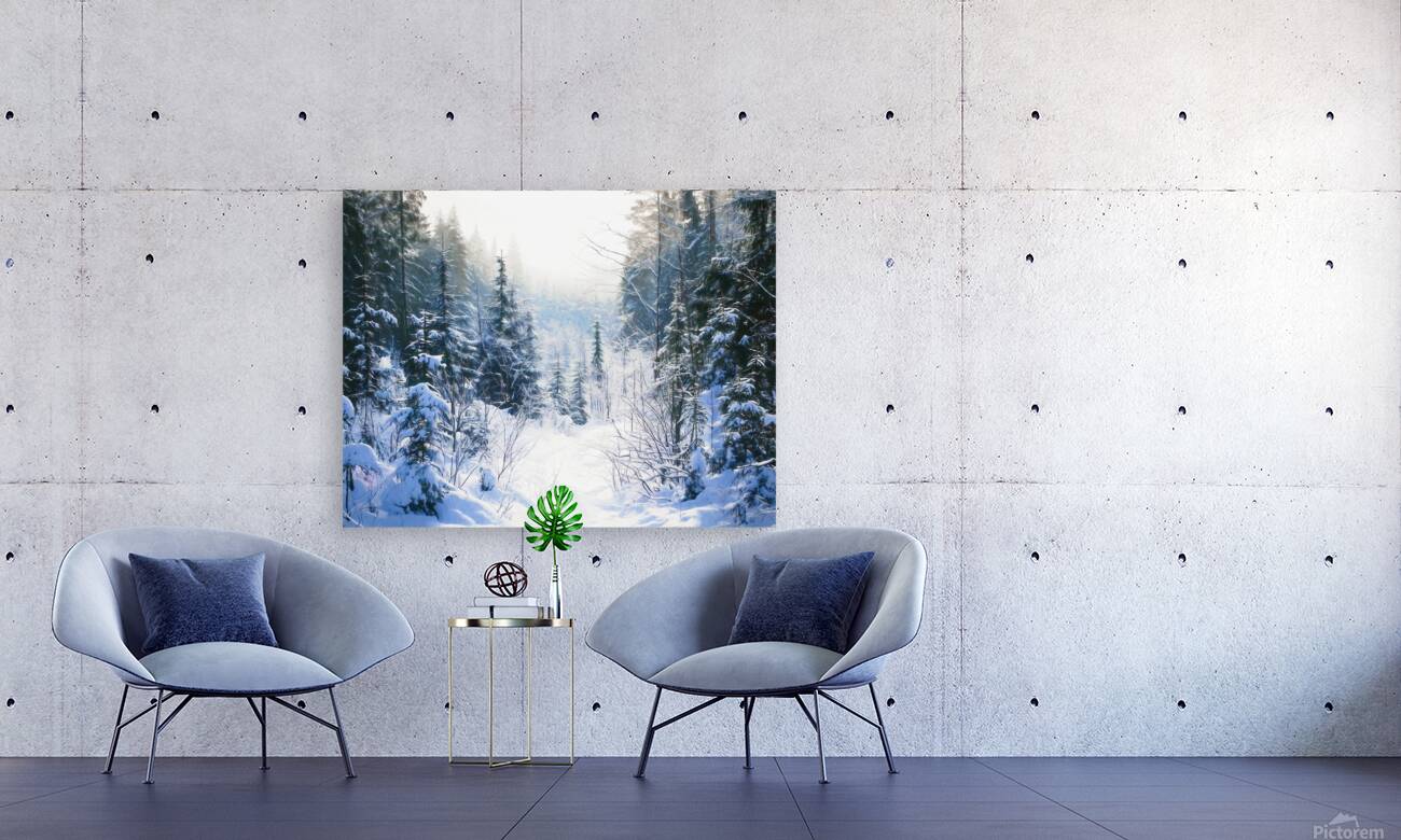 Winter Hiking Trail Reproduction