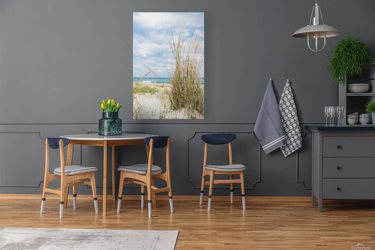 BEACH GRASS  Reproduction