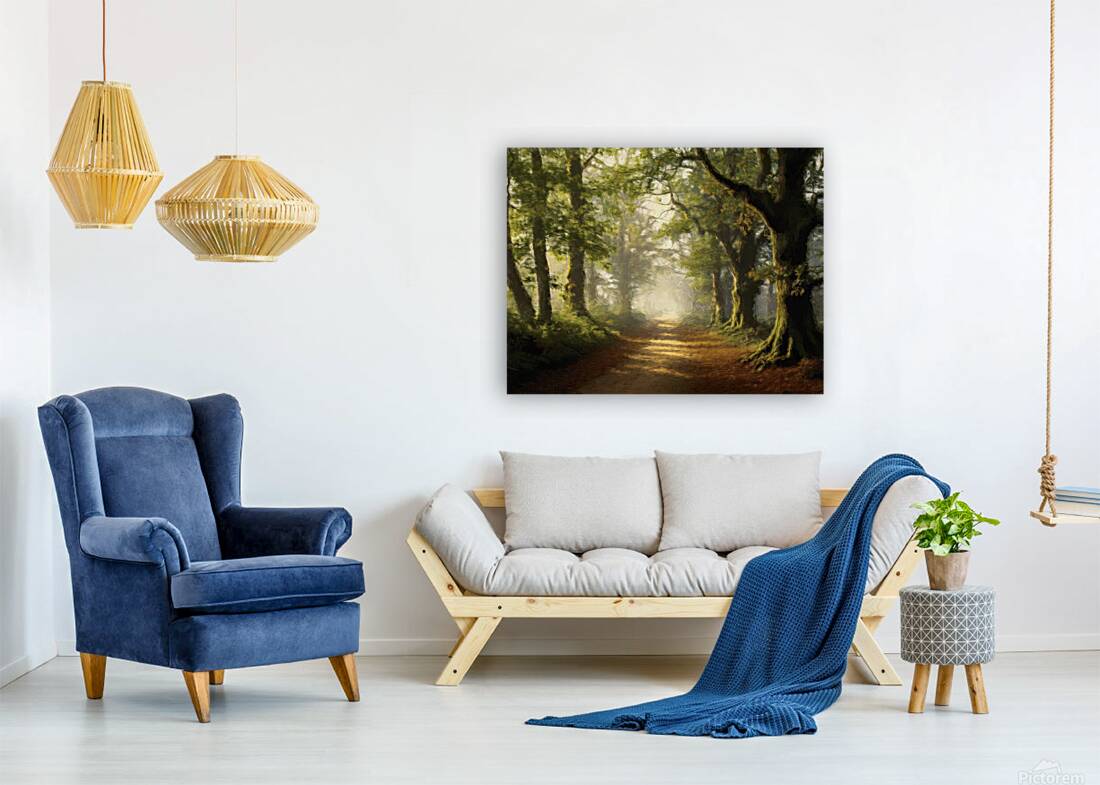 Small Trail Through Big Trees Reproduction