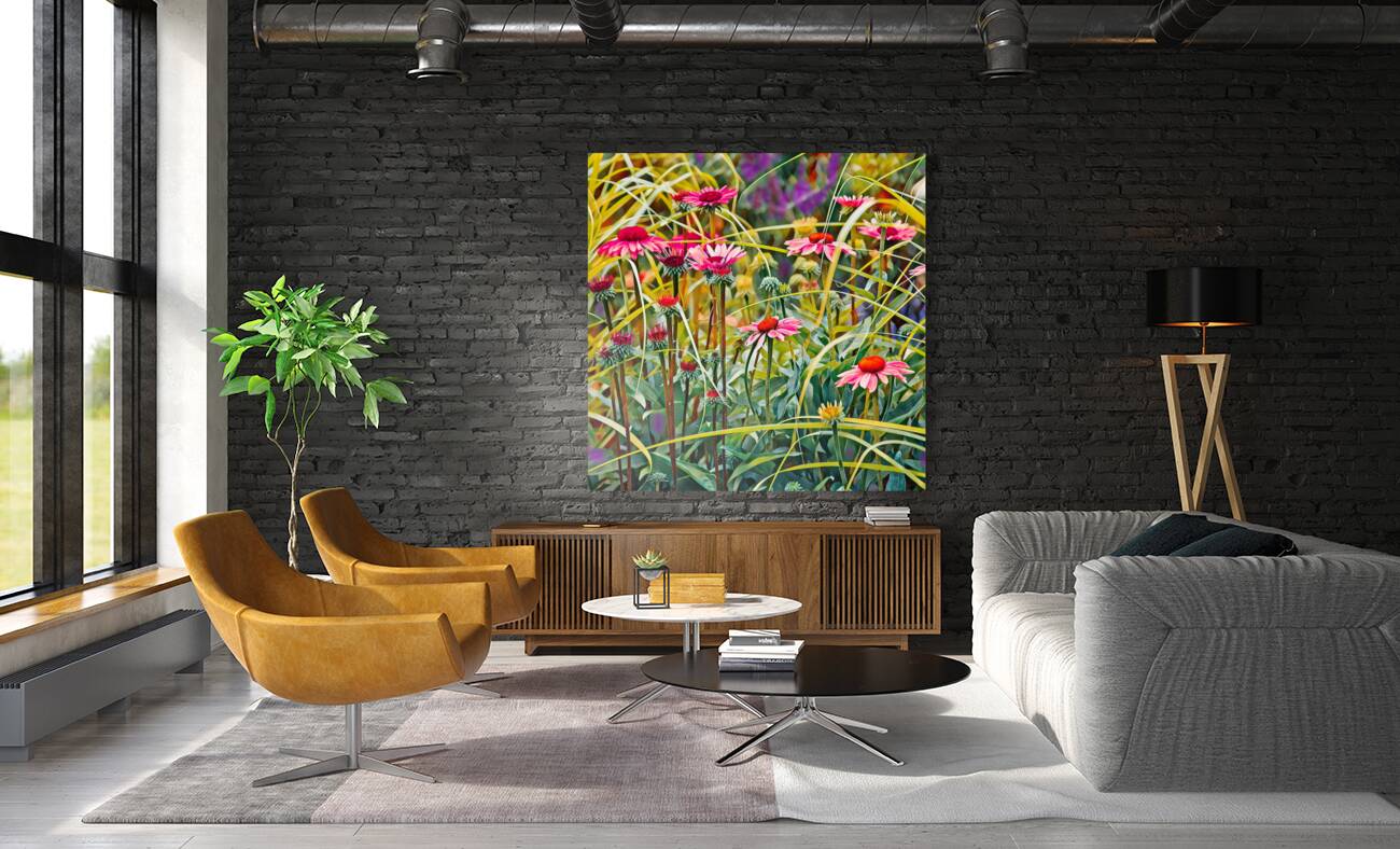 Blooming Echinacea Reproduction