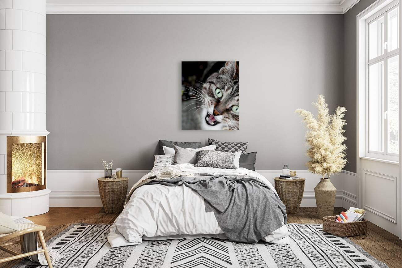 Chatty Cat Following Me Reproduction