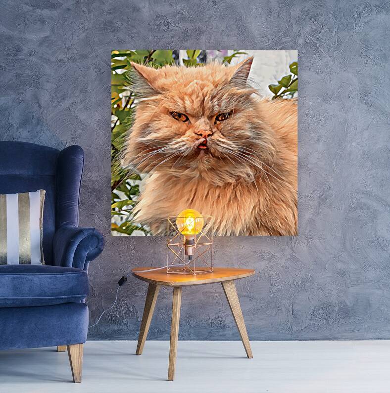 Just Look at that Face Reproduction