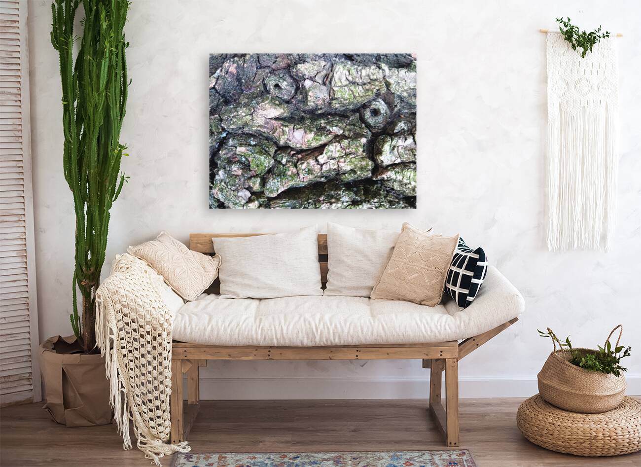 Bark Looks Like a Toad Reproduction