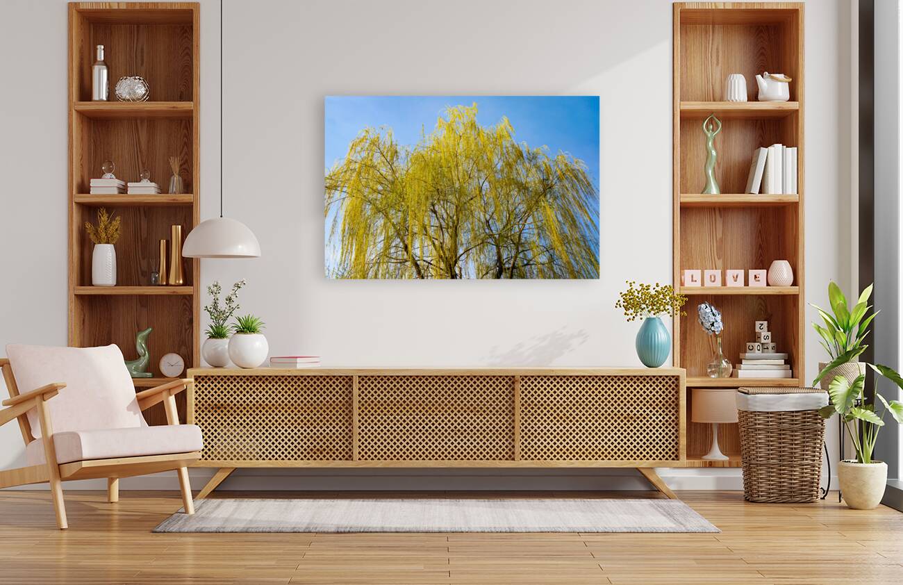 Huge Weeping Willow Reproduction