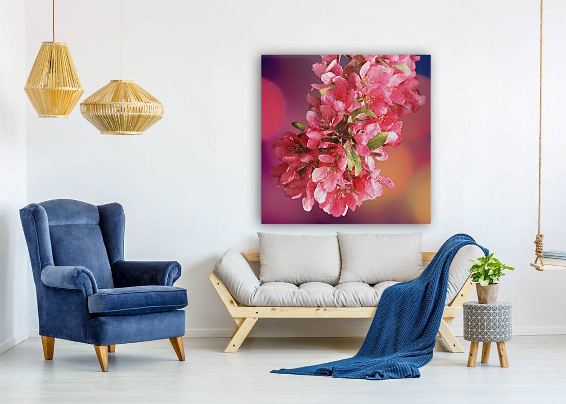 Pink Cherry Blossoms Reproduction