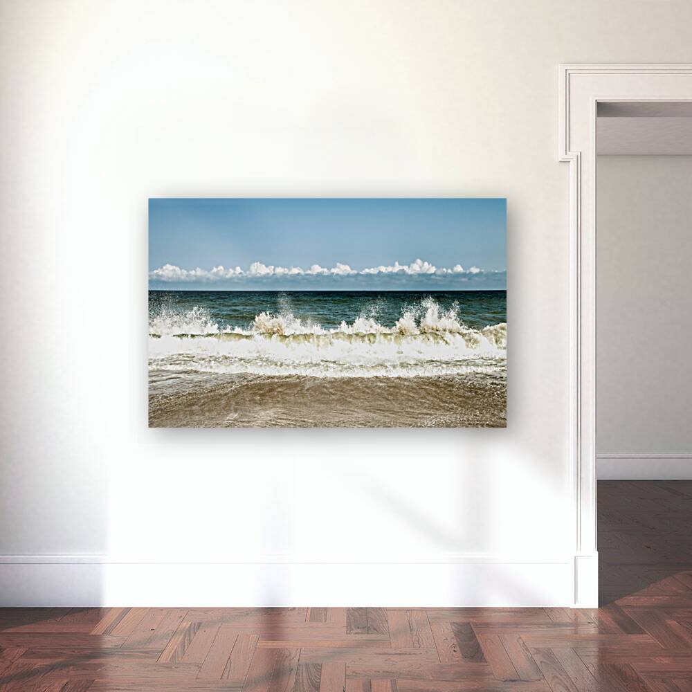 Virginia Beach Reproduction