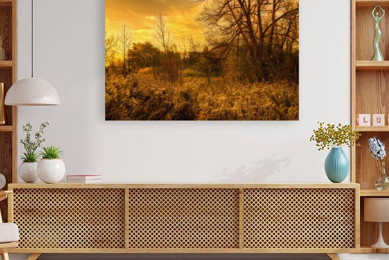 Hoar Frost on the Goldenrod by Thea Menagh