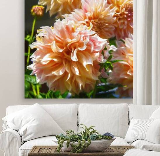 Peach Dahlia by Thea Menagh